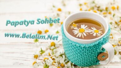 Papatya Sohbet